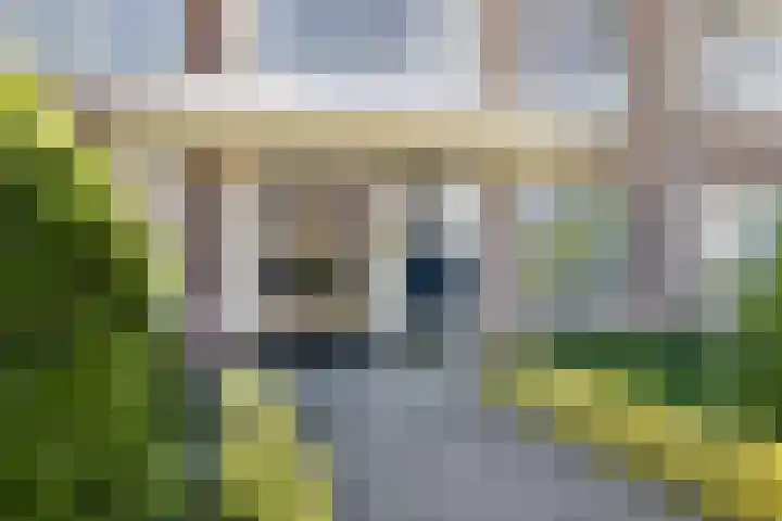 Zuideinde 269 Nieuwkoop thumbnail 6