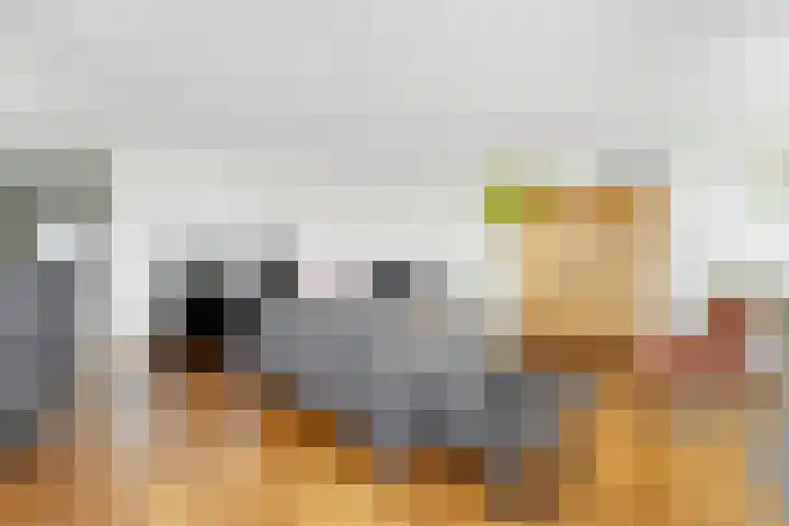 Zuideinde 269 Nieuwkoop thumbnail 8