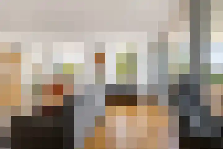Zuideinde 269 Nieuwkoop thumbnail 9