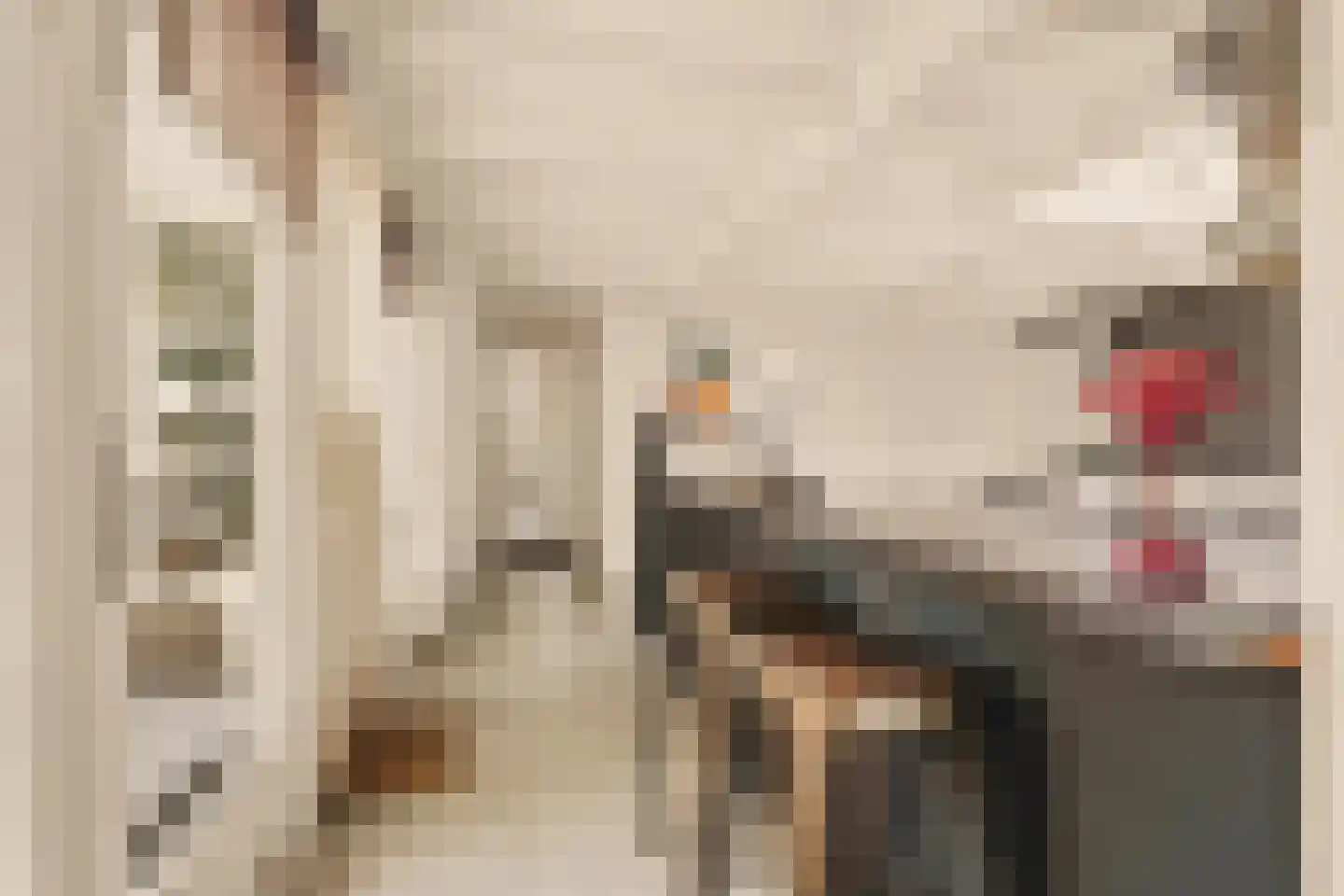 Zuideinde 271 Oostzaan thumbnail 17