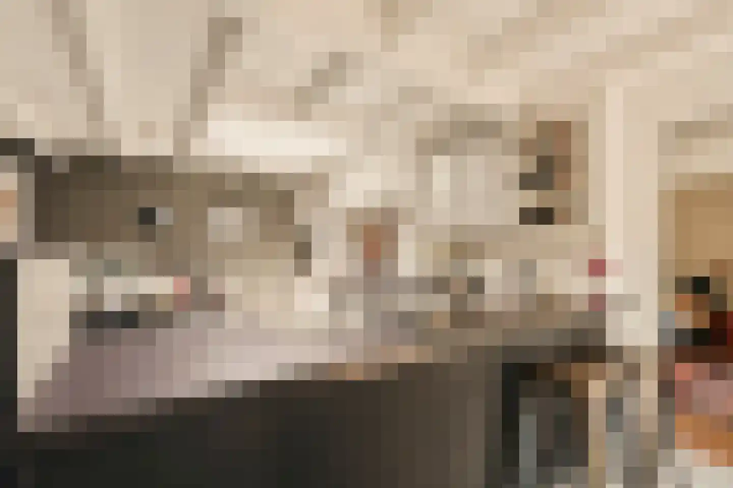 Zuideinde 271 Oostzaan thumbnail 18