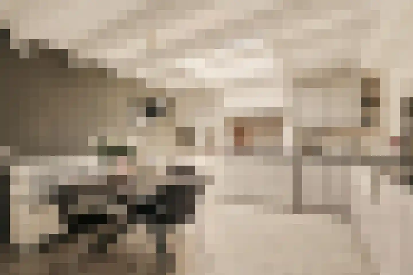Zuideinde 271 Oostzaan thumbnail 21