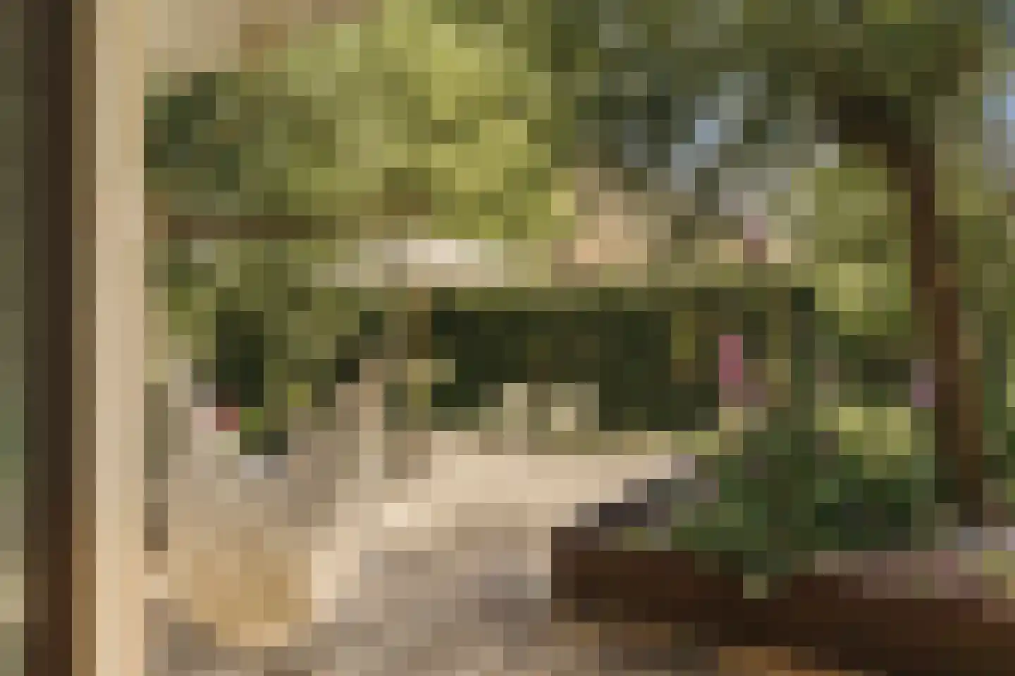 Zuideinde 271 Oostzaan thumbnail 29