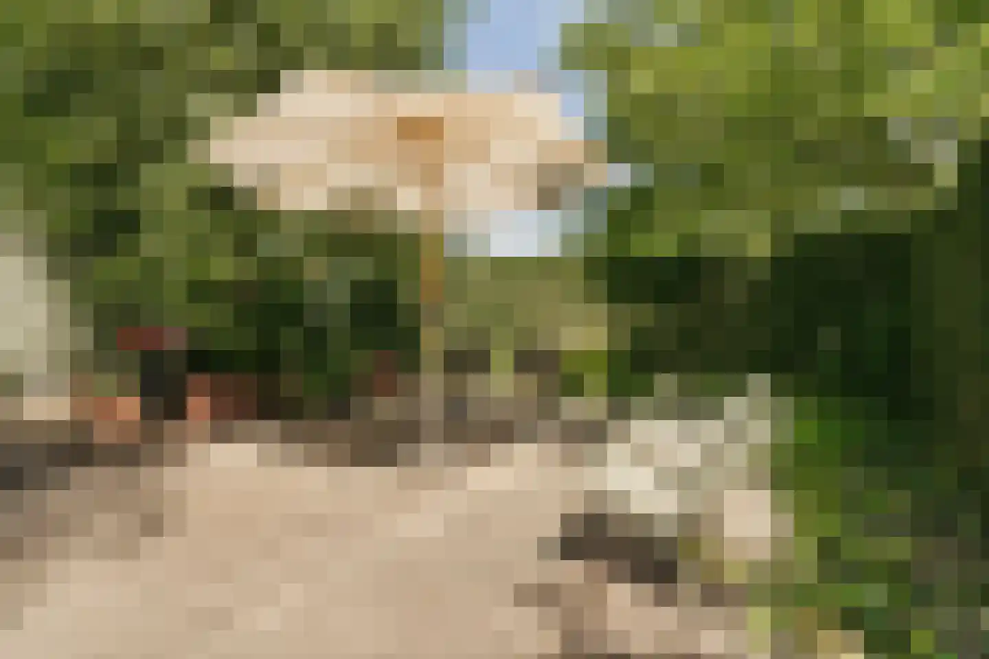 Zuideinde 271 Oostzaan thumbnail 32