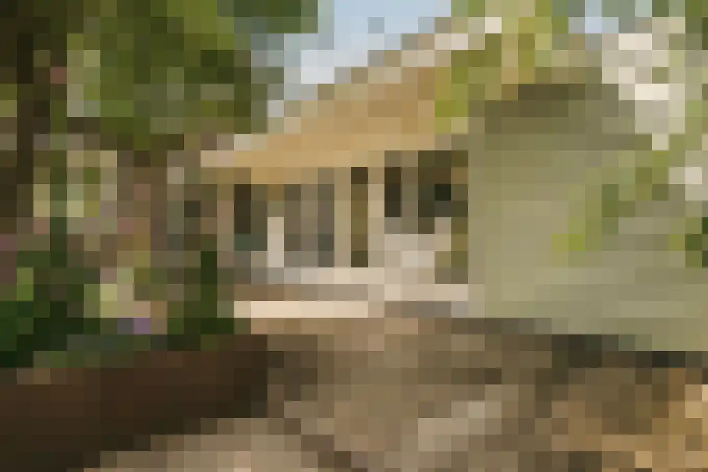 Zuideinde 271 Oostzaan thumbnail 34