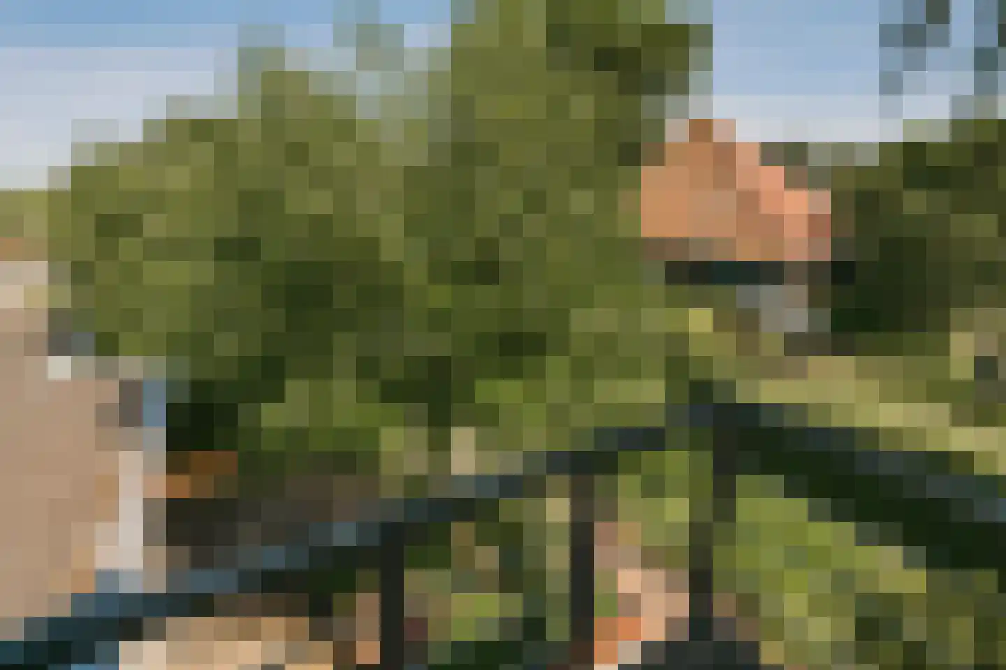 Zuideinde 271 Oostzaan thumbnail 49
