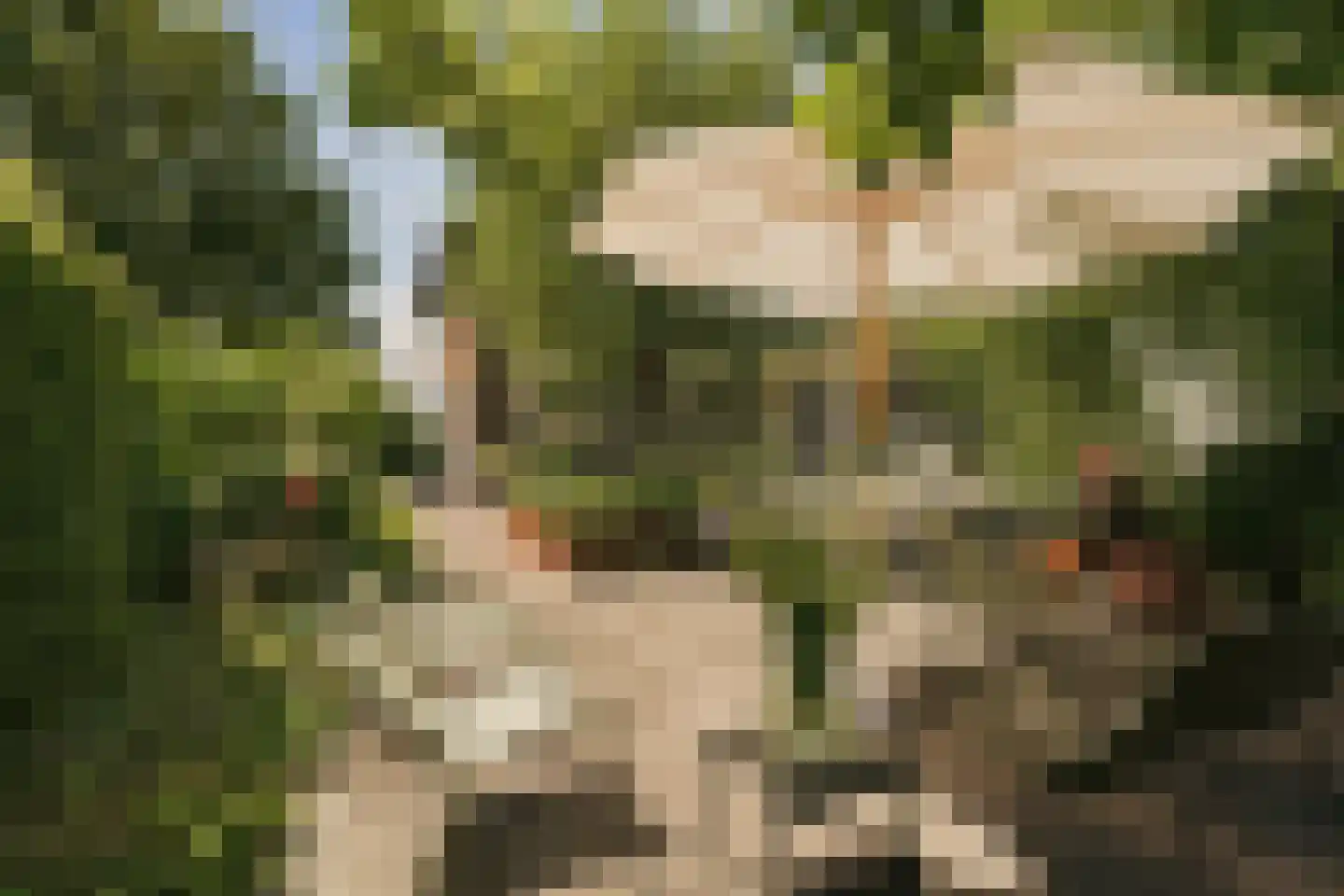Zuideinde 271 Oostzaan thumbnail 5