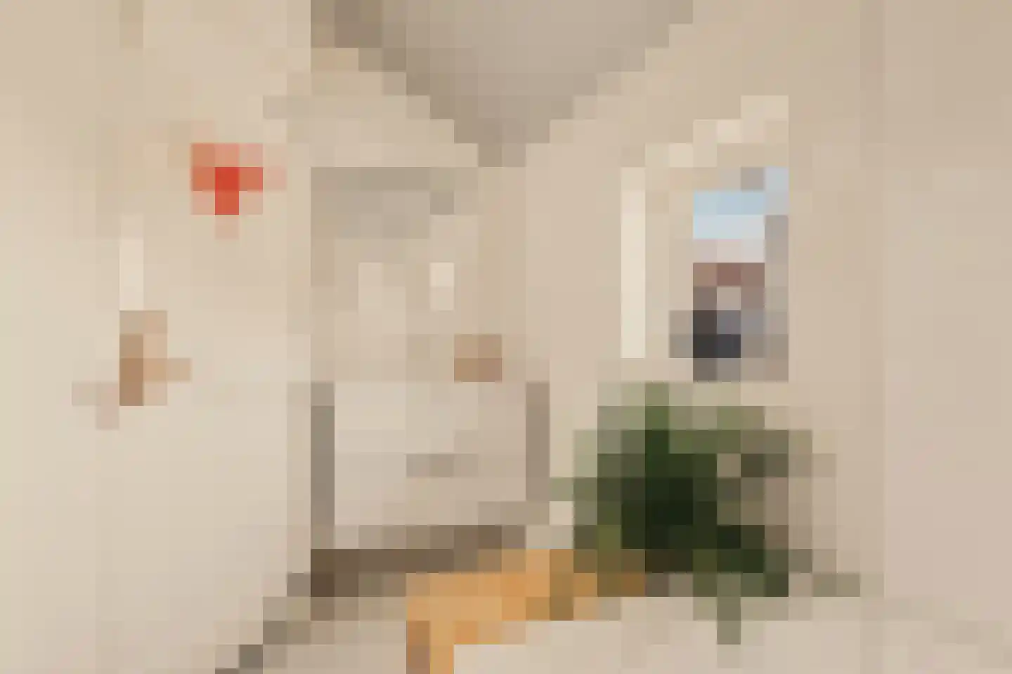 Zuideinde 271 Oostzaan thumbnail 53