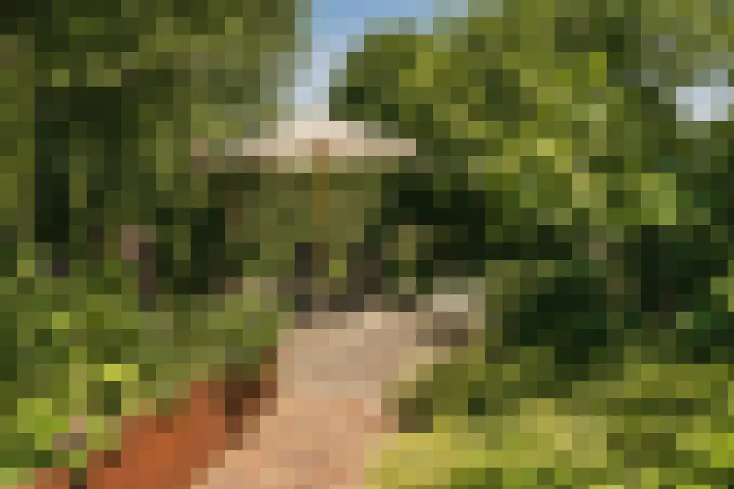 Zuideinde 271 Oostzaan thumbnail 56