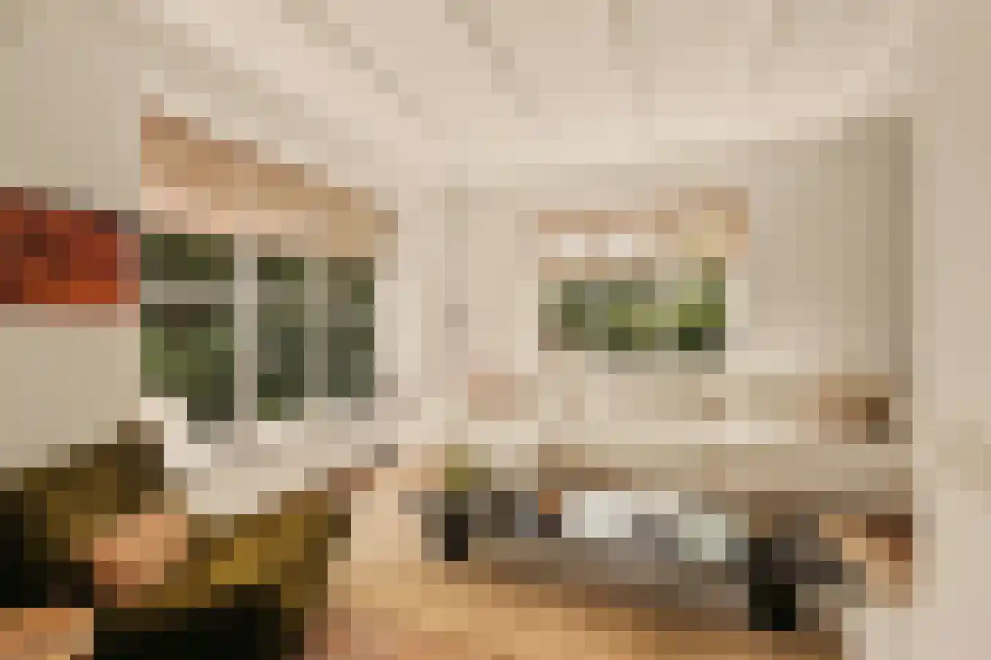 Zuideinde 271 Oostzaan thumbnail 8