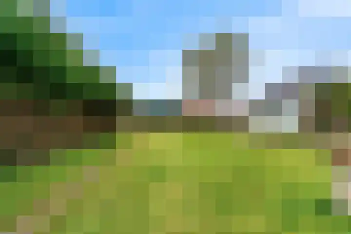 Zuideinde 287 Oostzaan thumbnail 27