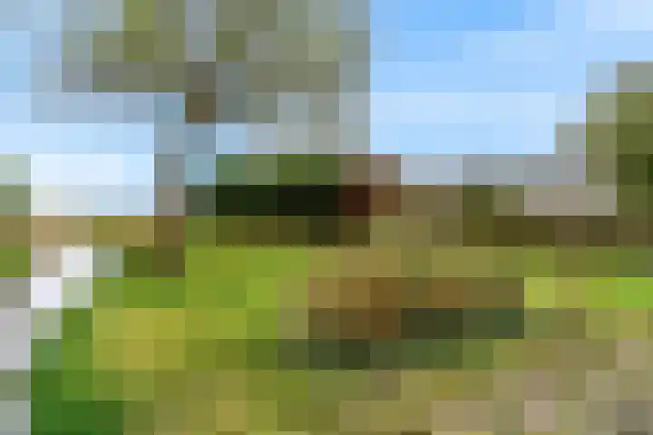 Zuideinde 287 Oostzaan thumbnail 28