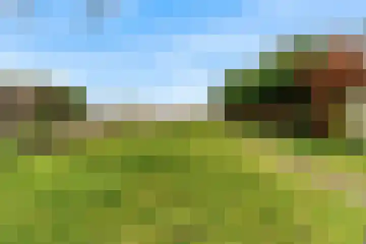 Zuideinde 287 Oostzaan thumbnail 29