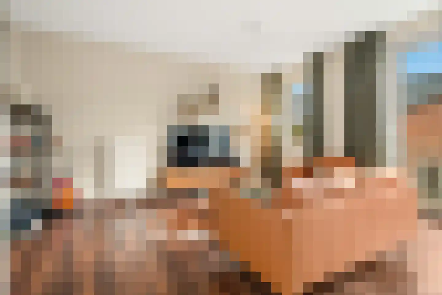 Zuideinde 3 L Koog aan de Zaan