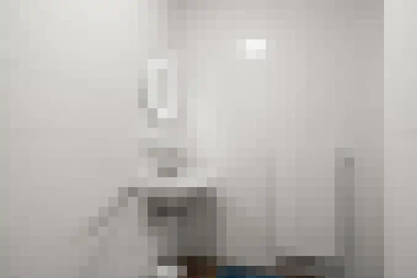 Zuideinde 3 L Koog aan de Zaan thumbnail 23