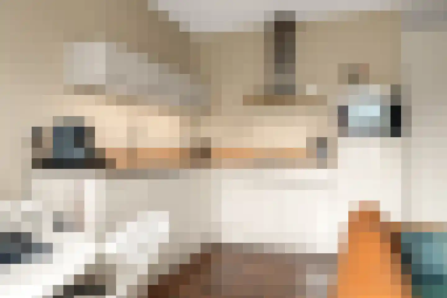 Zuideinde 3 L Koog aan de Zaan foto 3