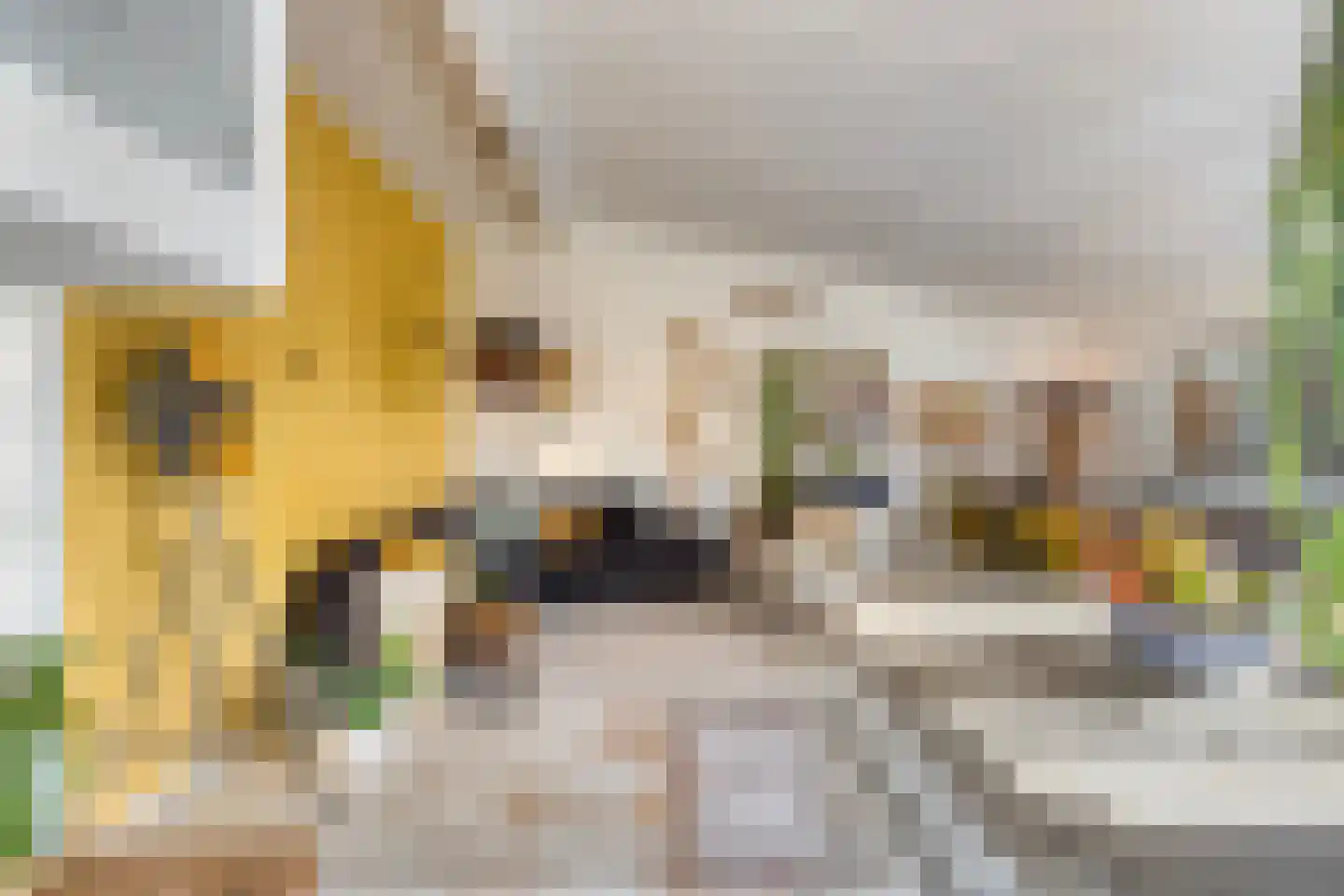 Zuideinde 30 C Landsmeer thumbnail 15