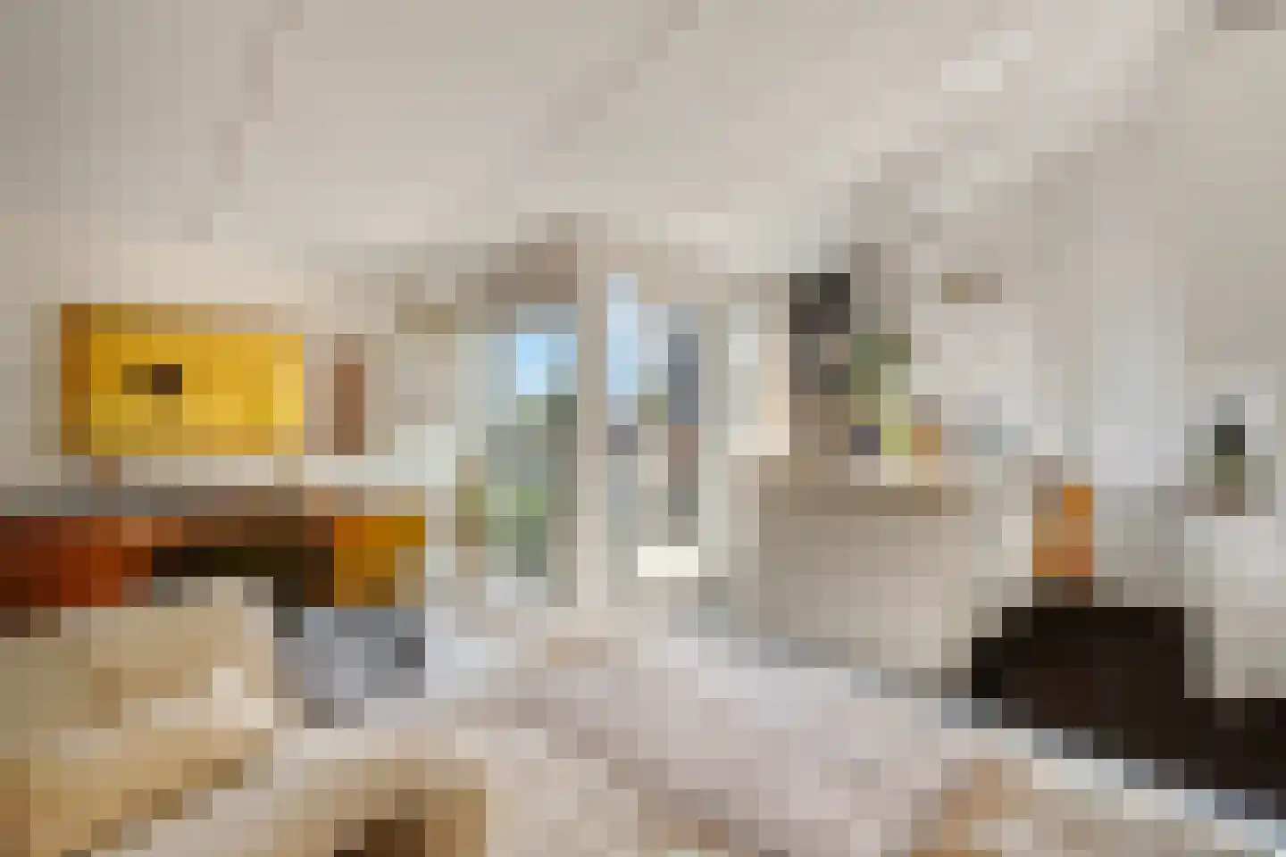 Zuideinde 30 C Landsmeer thumbnail 17