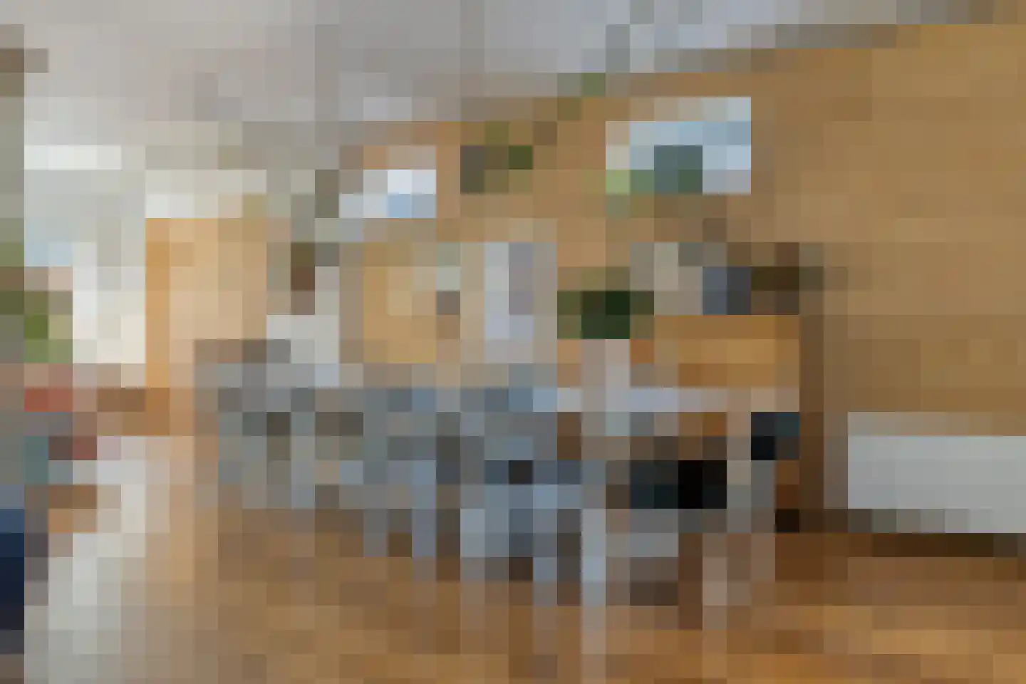 Zuideinde 30 Wormerveer thumbnail 10