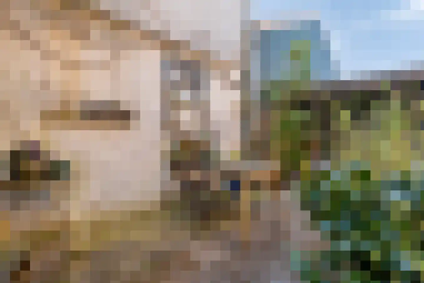 Zuideinde 30 Wormerveer thumbnail 20