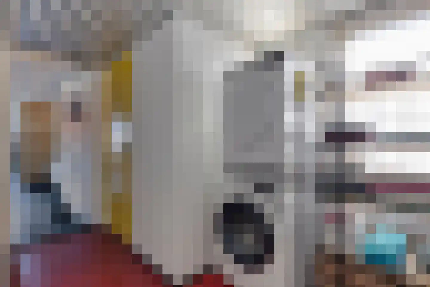 Zuideinde 30 Wormerveer thumbnail 38