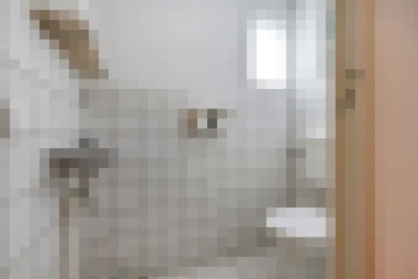 Zuideinde 30 Wormerveer thumbnail 39