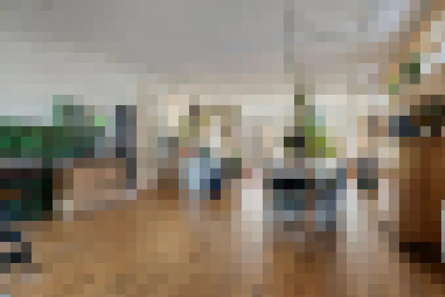 Zuideinde 30 Wormerveer thumbnail 4