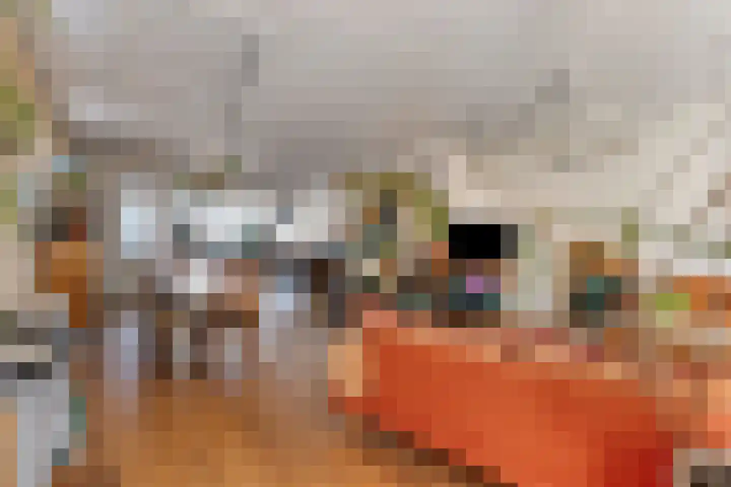 Zuideinde 30 Wormerveer thumbnail 5