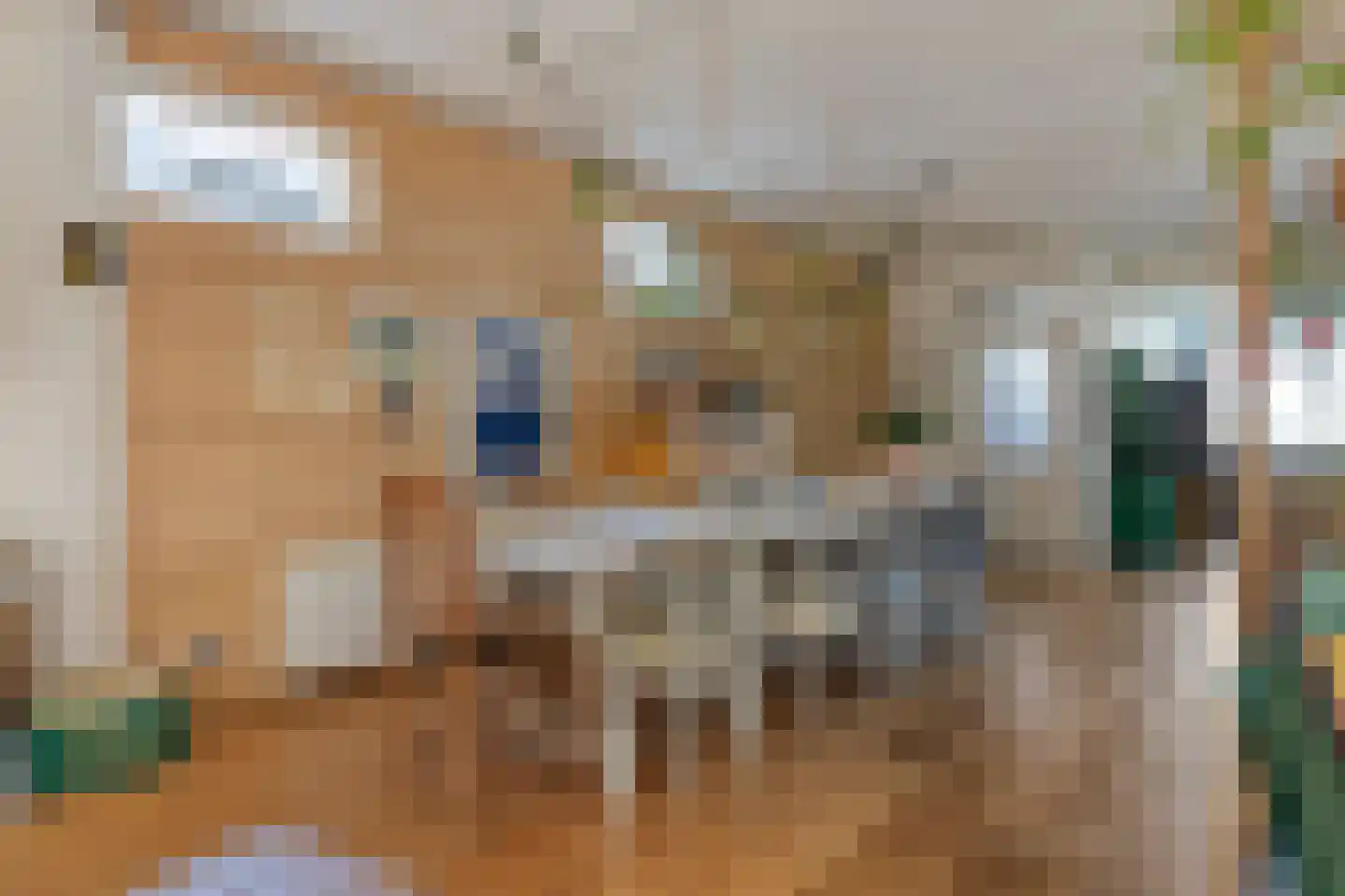 Zuideinde 30 Wormerveer thumbnail 9