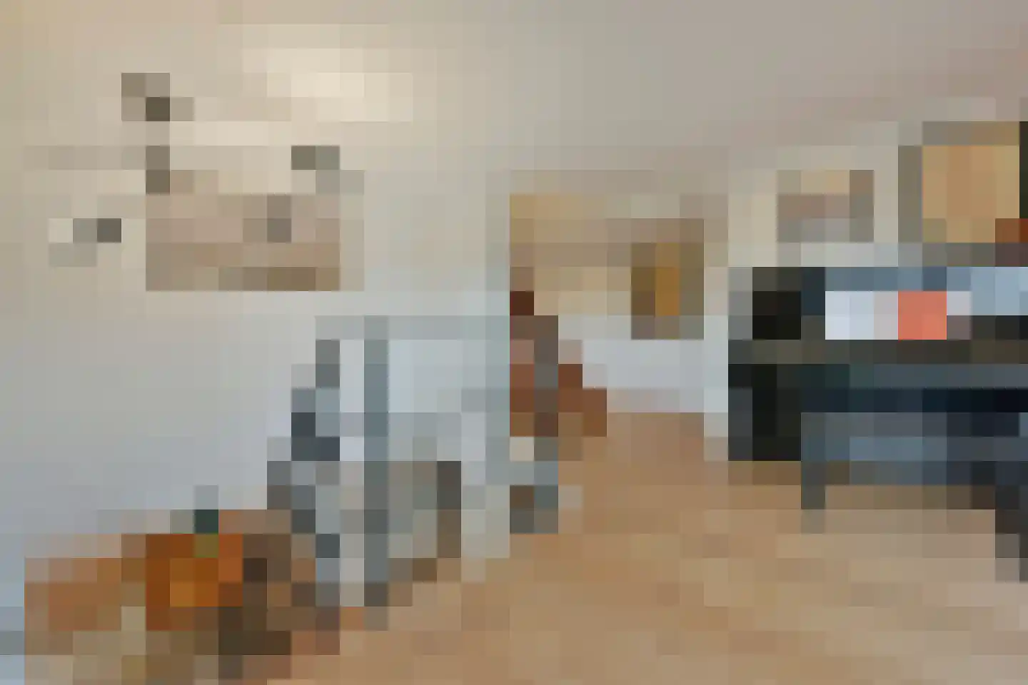 Zuideinde 32 B Nieuwkoop thumbnail 31