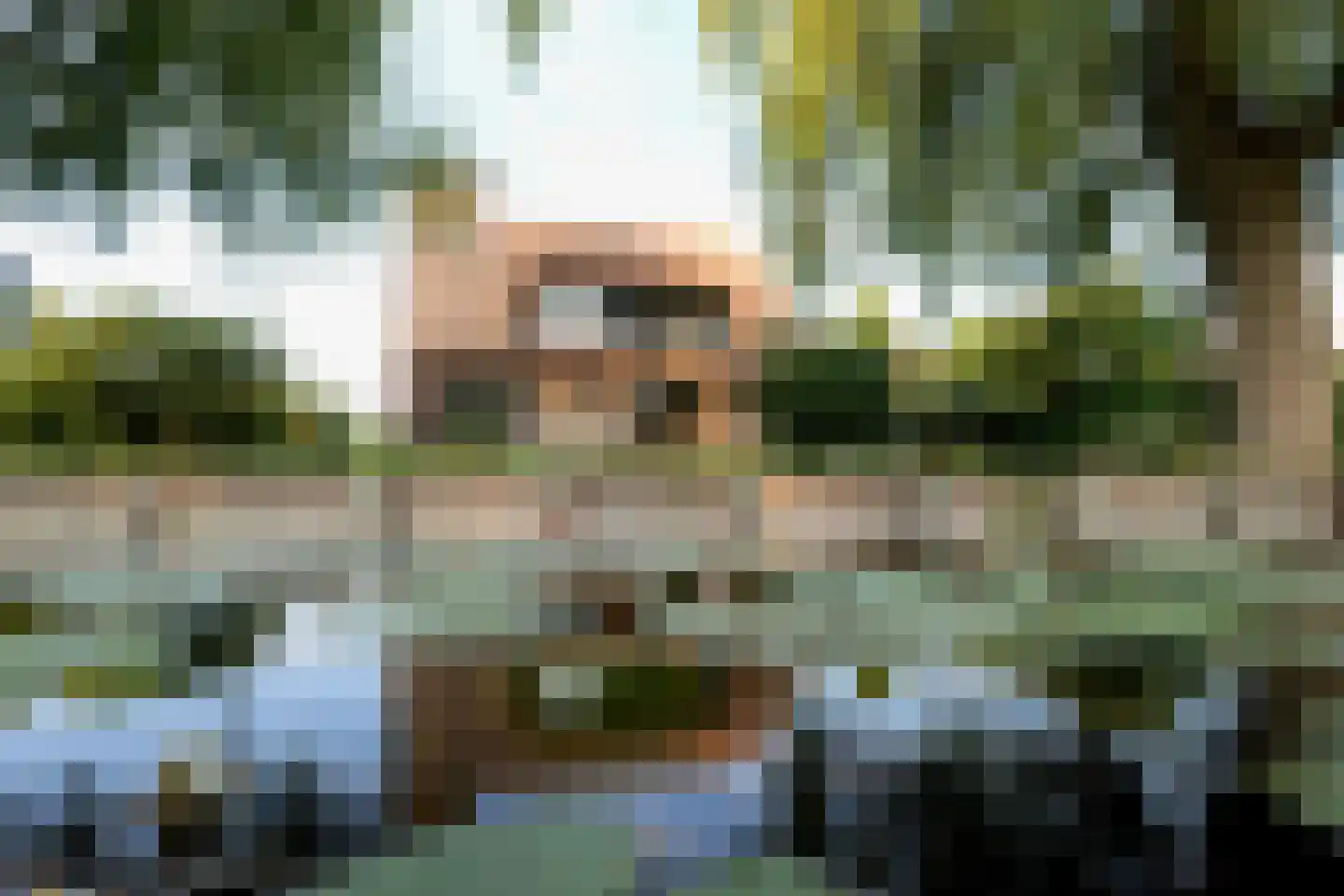 Zuideinde 32 B Nieuwkoop thumbnail 4