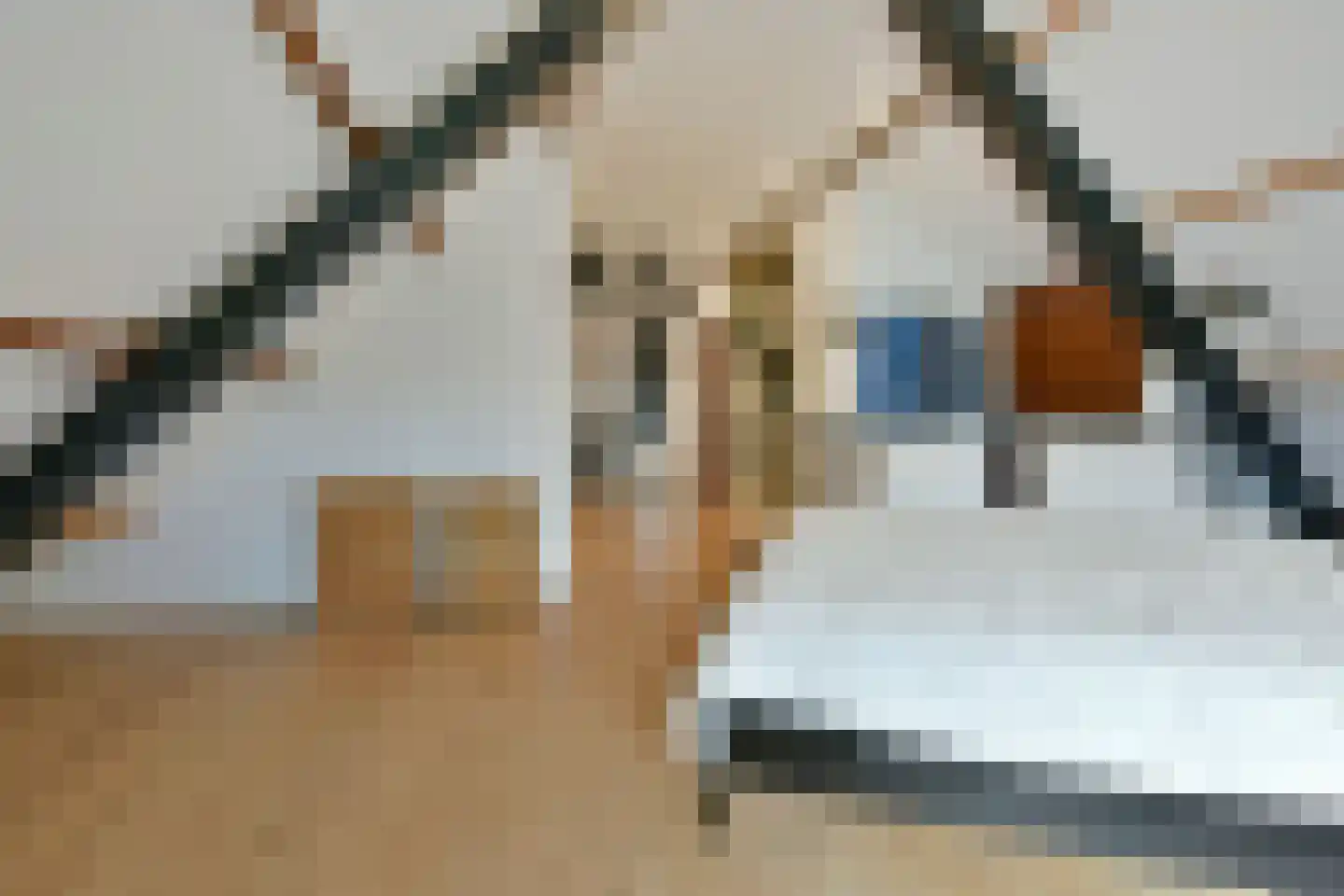 Zuideinde 32 B Nieuwkoop thumbnail 40