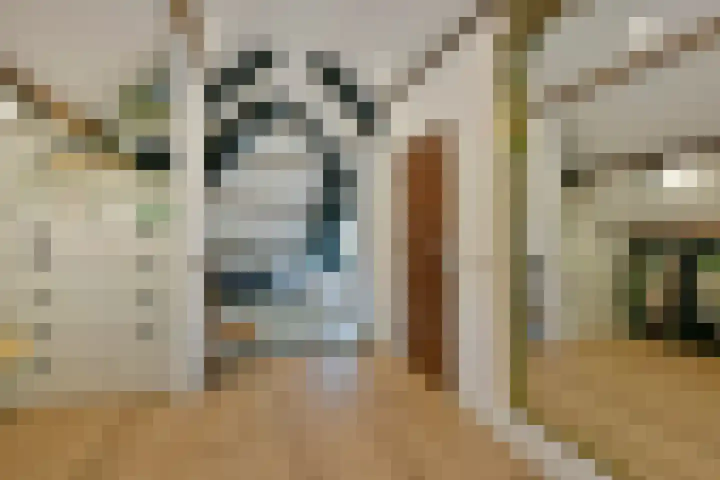 Zuideinde 32 B Nieuwkoop thumbnail 41