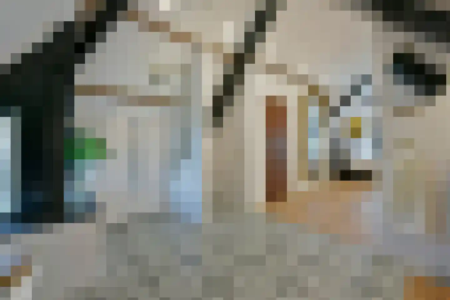 Zuideinde 32 B Nieuwkoop thumbnail 46