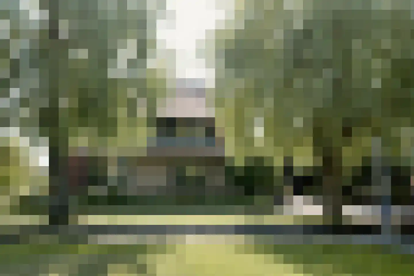 Zuideinde 32 B Nieuwkoop thumbnail 52