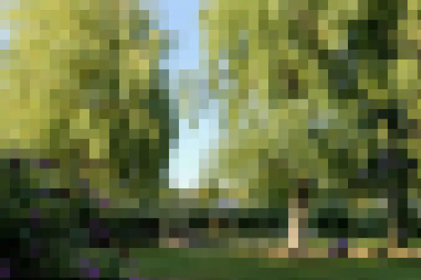 Zuideinde 32 B Nieuwkoop thumbnail 54
