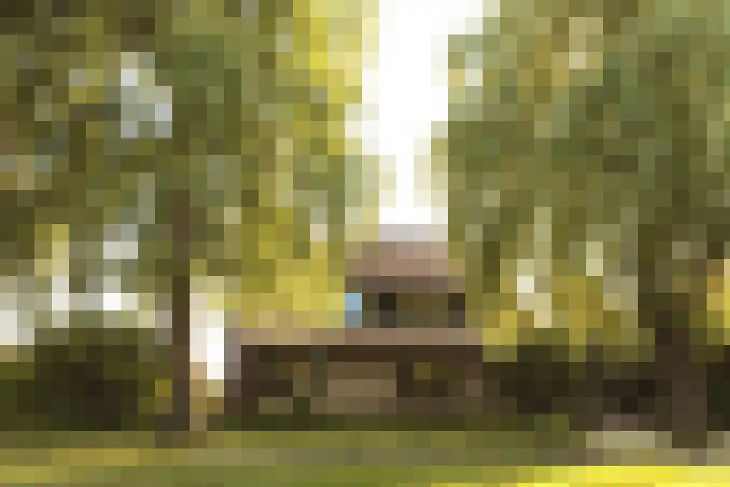 Zuideinde 32 B Nieuwkoop thumbnail 57