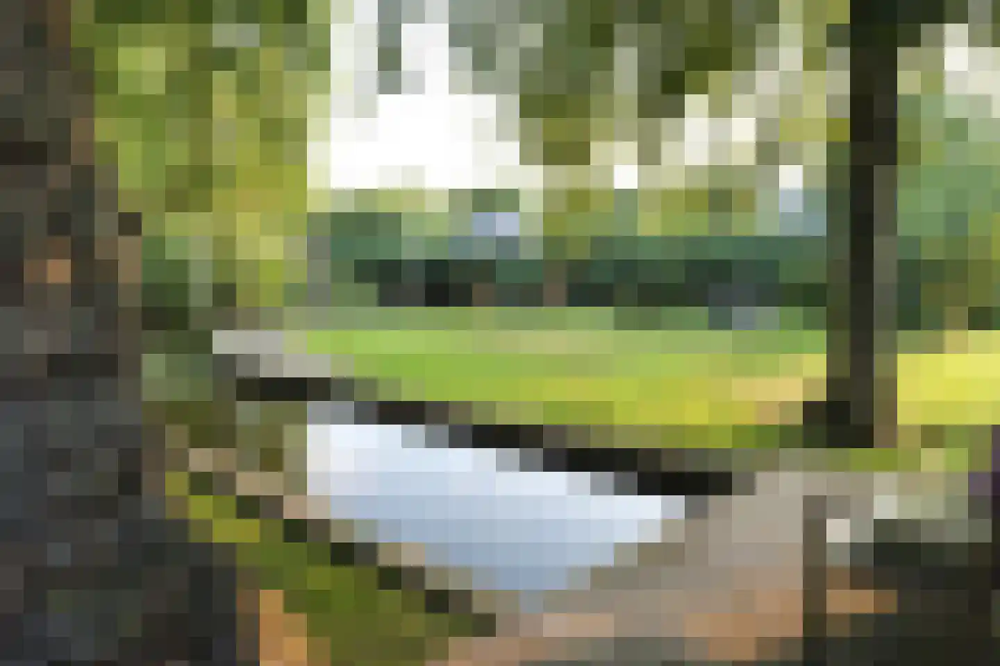 Zuideinde 32 B Nieuwkoop thumbnail 58