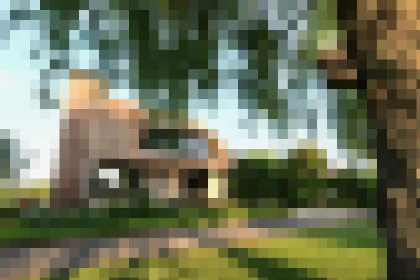 Zuideinde 32 B Nieuwkoop thumbnail 59