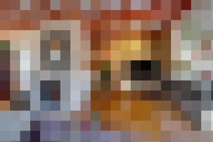 Zuideinde 322 Amsterdam thumbnail 16