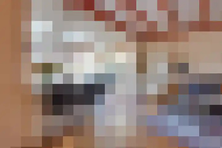 Zuideinde 322 Amsterdam thumbnail 18