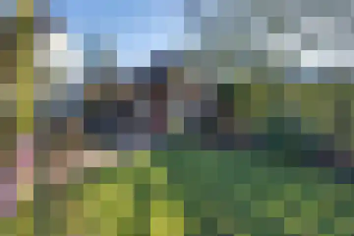 Zuideinde 322 Amsterdam thumbnail 33