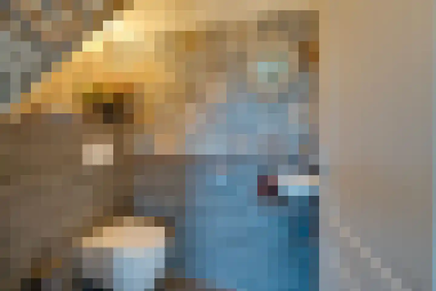Zuideinde 322 Amsterdam thumbnail 38