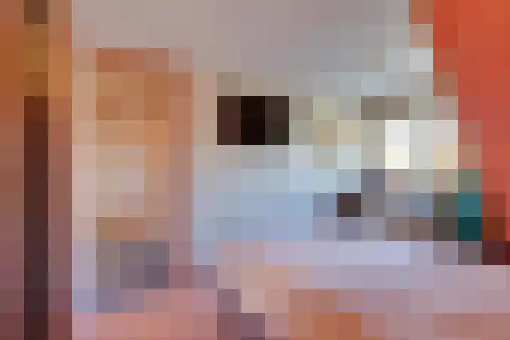 Zuideinde 322 Amsterdam thumbnail 44
