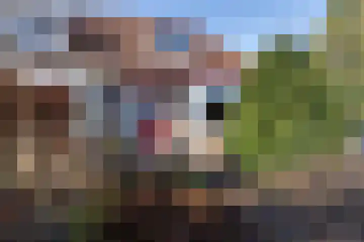 Zuideinde 322 Amsterdam thumbnail 53