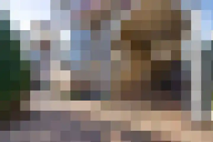 Zuideinde 322 Amsterdam thumbnail 8