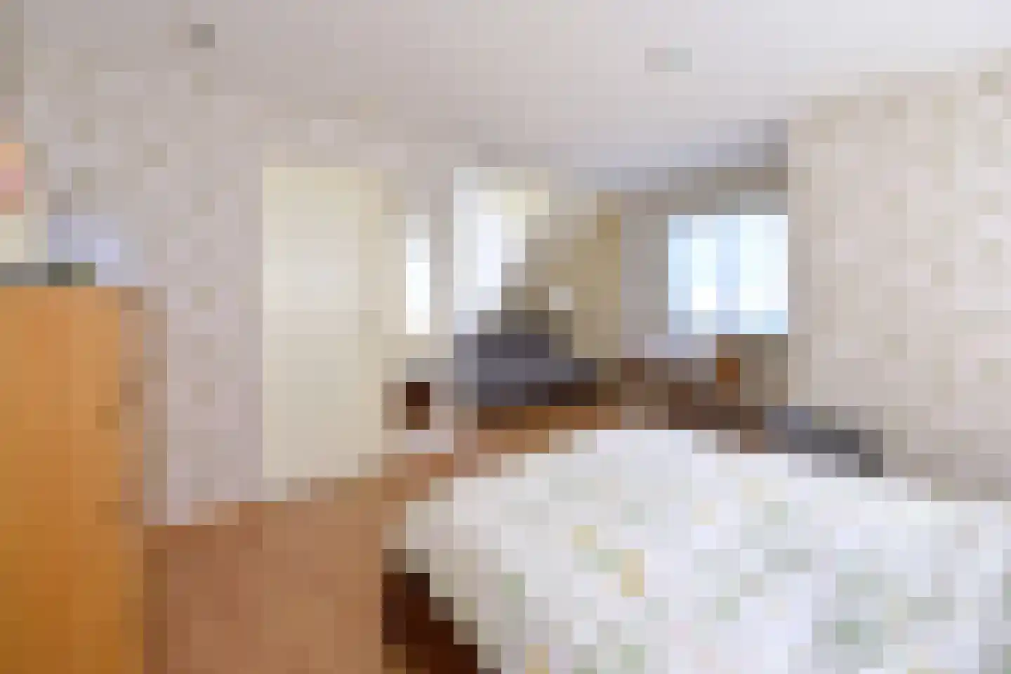Zuideinde 329 Amsterdam thumbnail 21