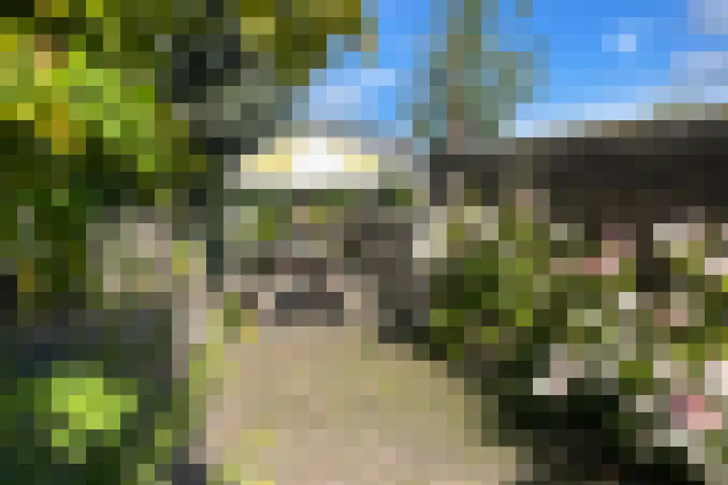Zuideinde 329 Amsterdam thumbnail 30