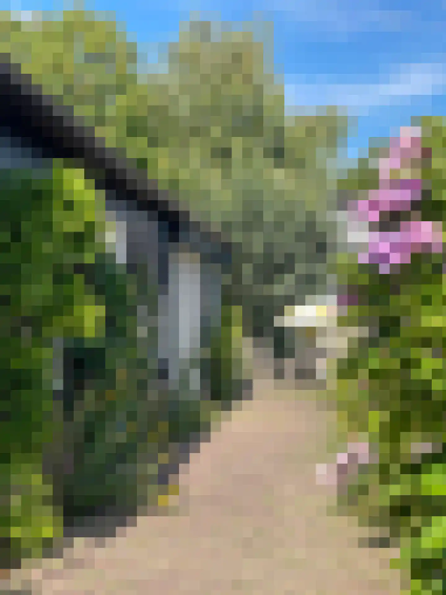 Zuideinde 329 Amsterdam thumbnail 33