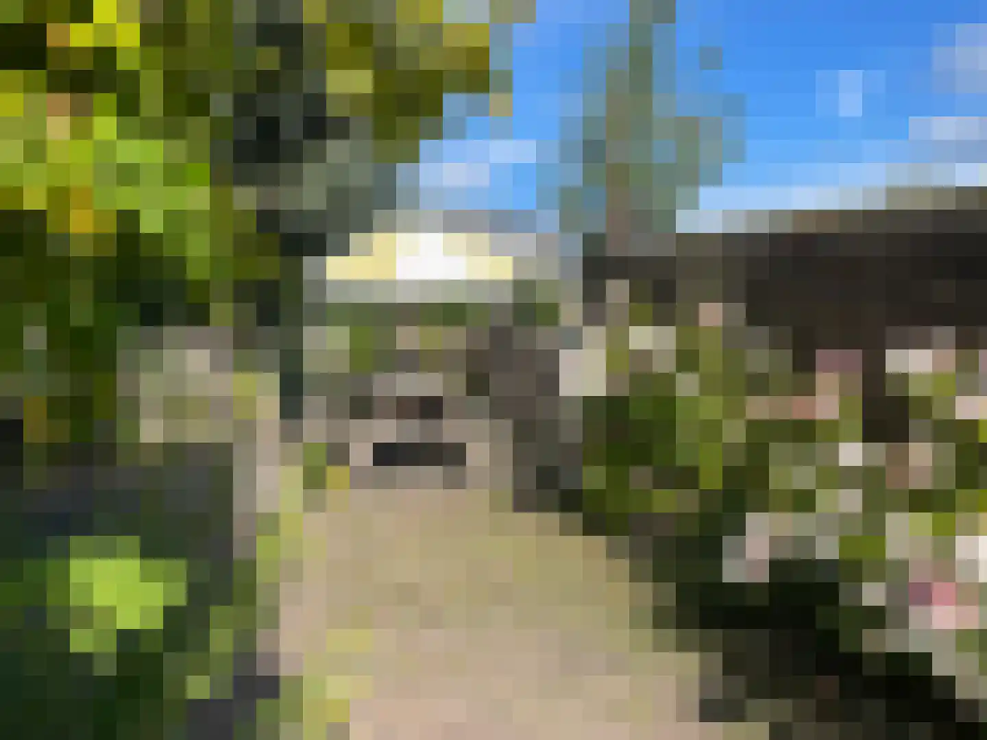 Zuideinde 329 Amsterdam thumbnail 34